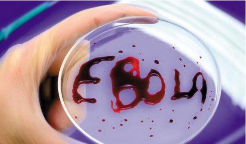 1410424872104339.jpg u=2844689130,731843241&fm=11&gp=0.jpg